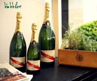 najlepsze-szampany-i-wielcy-producenci-w-bubbles